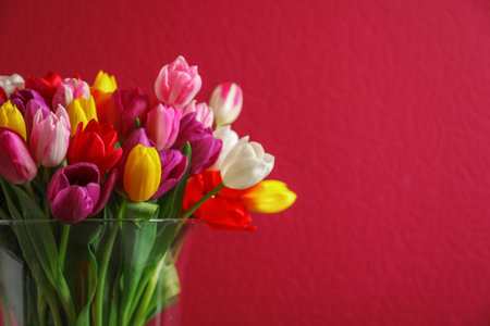 Vase with beautiful spring tulip flowers on color background. Space for textの写真素材