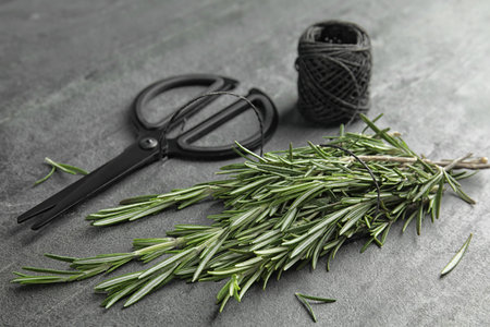 Fresh rosemary twigs, twine and scissors on gray tableの写真素材