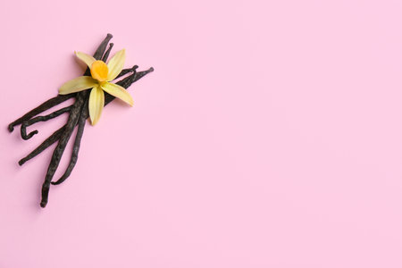 Flat lay composition with vanilla sticks and flower on pink background. Space for textの写真素材