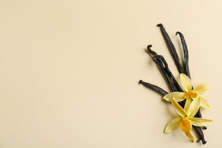 Flat lay composition with vanilla sticks and flowers on color background. Space for textの写真素材