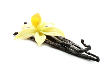 Aromatic vanilla sticks and flower on white backgroundの写真素材
