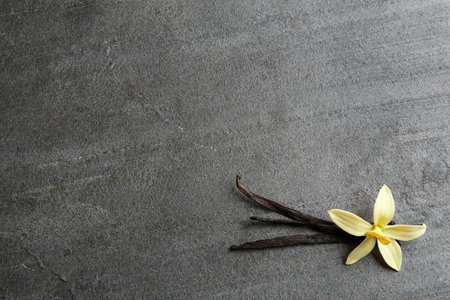 Flat lay composition with vanilla sticks and flower on gray background. Space for textの写真素材