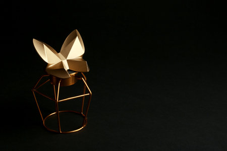 Composition with decorative gold butterfly on black background. Space for textの写真素材