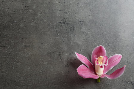 Beautiful tropical orchid flower on gray background, top view. Space for textの写真素材
