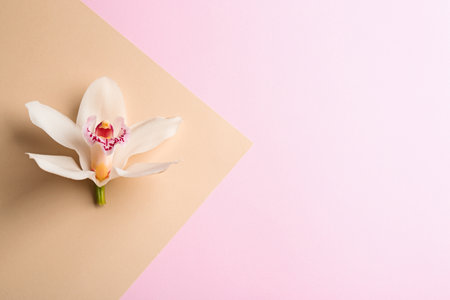 Beautiful tropical orchid flower on color background, top view. Space for textの写真素材