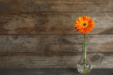 Beautiful bright gerbera flower in vase on table against wooden background. Space for textの写真素材