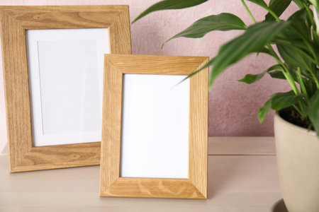 Spathiphyllum plant and photo frames on table near color wall, space for design. home decor