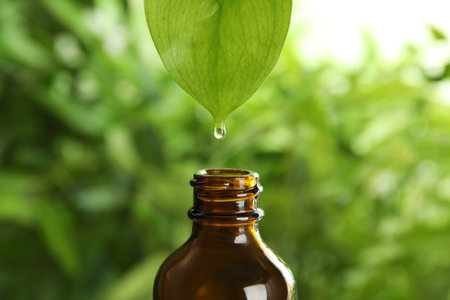 Essential oil dripping from leaf into glass bottle on blurred backgroundの写真素材