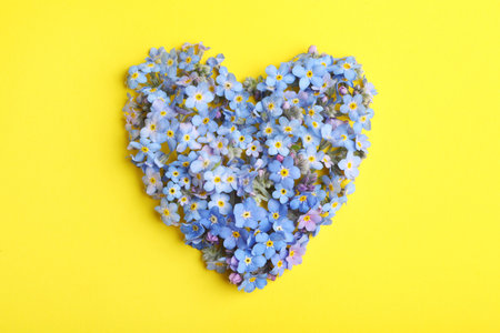 Heart made of amazing spring forget-me-not flowers on color background, top viewの写真素材