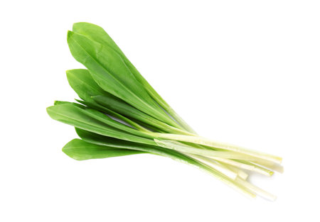Fresh wild garlic or ramson isolated on white
