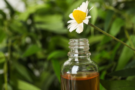 Chamomile flower over bottle with essential oil on blurred background, closeup. Space for textの写真素材