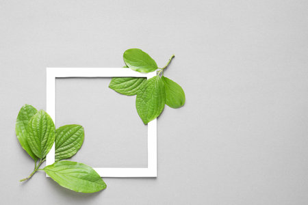 Flat lay composition with green leaves on color background. Space for textの写真素材