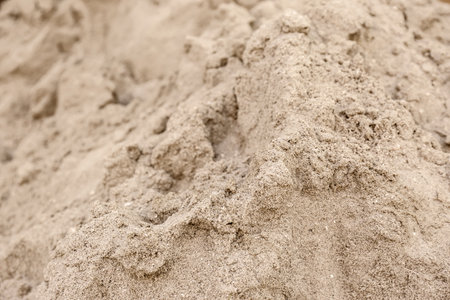 Textured sandy soil surface as background, closeupの写真素材