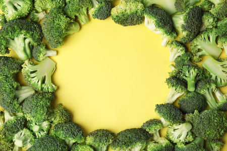 Frame made with fresh green broccoli on color background, flat lay. Space for textの写真素材