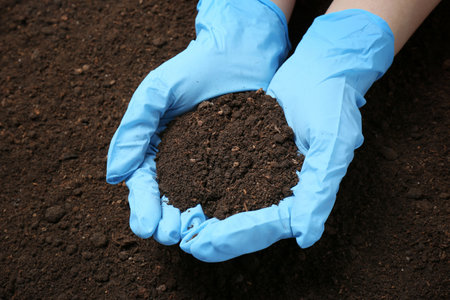 Scientist holding pile of soil above ground, closeupの写真素材