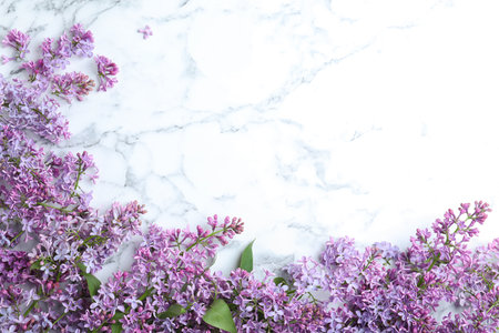 Blossoming lilac flowers on marble table, flat lay. Space for textの写真素材