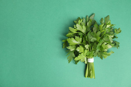 Bunch of fresh green parsley on color background, view from above. Space for textの写真素材