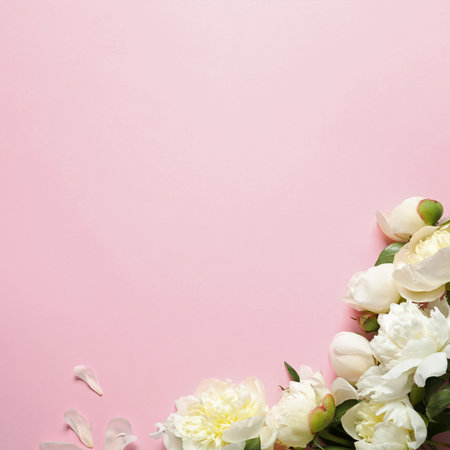 Fragrant peonies on color background, flat lay with space for text. beautiful spring flowersの写真素材