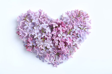 Heart made of blossoming lilac on color background, flat lay. spring flowersの写真素材