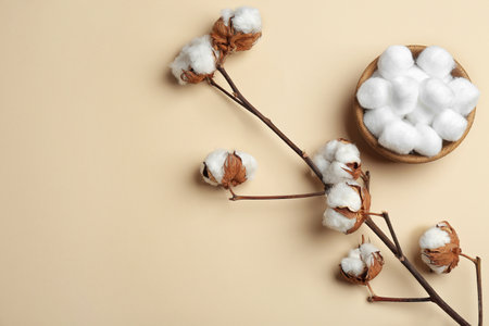 Branch with fluffy flowers and cotton balls in bowl on color background, flat lay. Space for textの写真素材