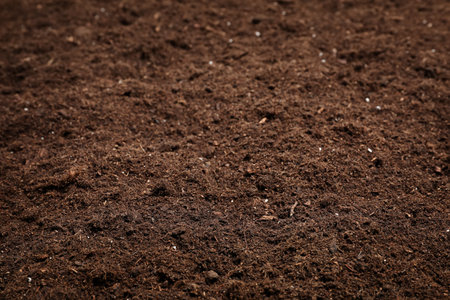 Textured fertile soil as background. gardening seasonの写真素材