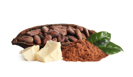 Composition with cocoa products on white backgroundの写真素材