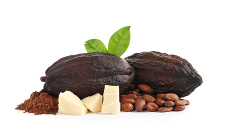 Composition with cocoa products on white backgroundの写真素材