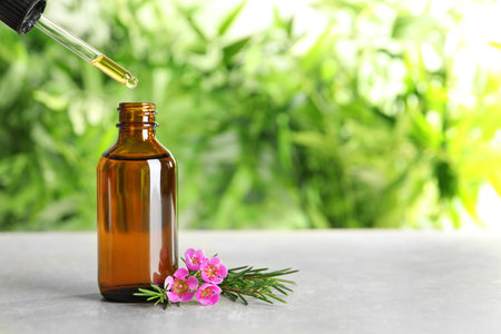 Dripping natural essential oil into bottle near tea tree branch on table, space for textの写真素材