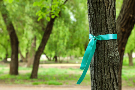 Teal ribbon tied to tree outdoors, space for textの写真素材