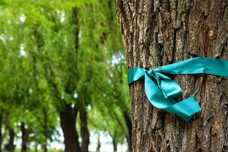Teal ribbon tied to tree outdoors, space for textの写真素材