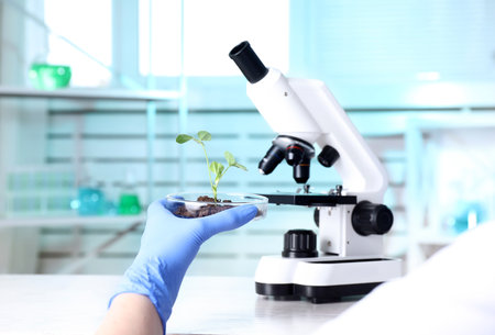 Scientist examining green plant with microscope in laboratory, closeup. Space for textの写真素材