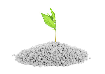 Pile of chemical fertilizer and green plant isolated on white. gardening timeの写真素材