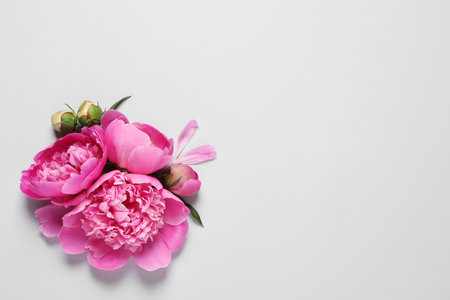 Beautiful peony flowers on light background, top view. Space for textの写真素材