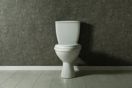 New toilet bowl near gray wall indoors