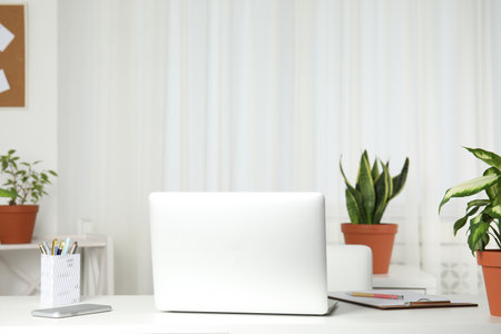 Laptop on table and houseplants in office interior, space for textの写真素材