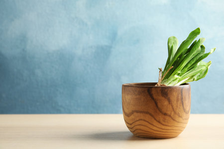 Wooden bowl with bunch of wild garlic or ramson on table against color background. Space for textの写真素材