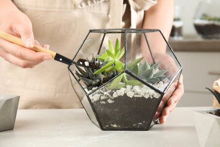 Young woman making florarium of different succulents at table, closeupの写真素材
