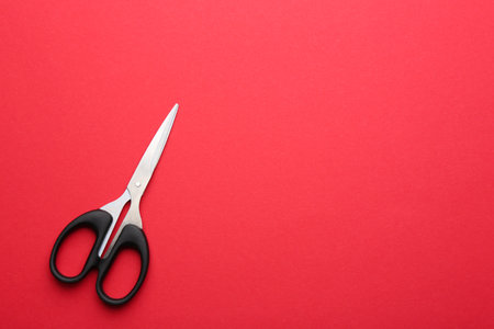 Pair of sharp scissors on color background, top view. Space for textの写真素材