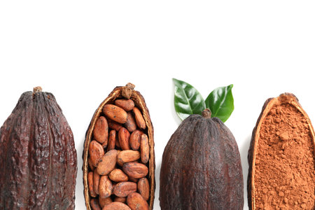 Composition with cocoa products on white background, top viewの写真素材
