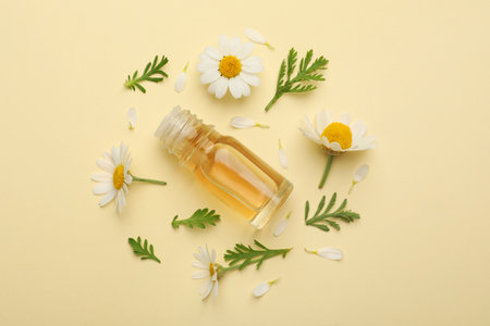 Flat lay composition with chamomile flowers and cosmetic bottle of essential oil on color backgroundの写真素材