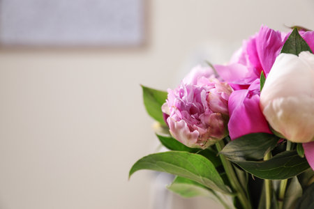 Bouquet of beautiful peonies in room, closeup. Space for textの写真素材