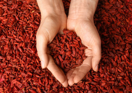 Woman holding red dried goji berries, top viewの写真素材