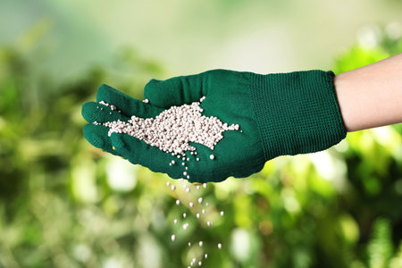 Woman in glove pouring fertilizer on blurred background, closeup. gardening timeの写真素材