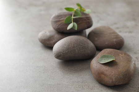 Spa stones with eucalyptus on color background. Space for textの写真素材