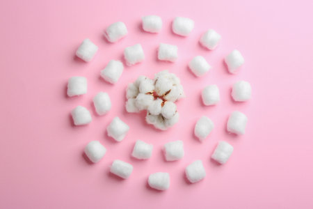 Flat lay composition with cotton balls and flowers on pink backgroundの写真素材