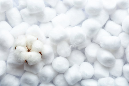 Flower on clean cotton balls, top view. Space for textの写真素材