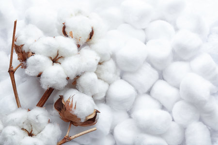 Branch with flowers on clean cotton balls, top view. Space for textの写真素材