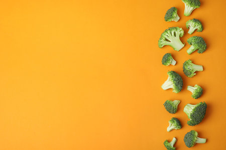 Flat lay composition with fresh green broccoli on color background. Space for textの写真素材