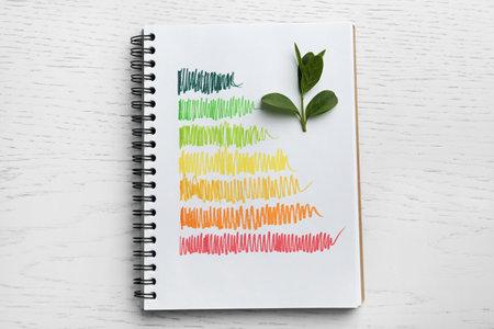 Notebook with colorful bars and leaves on white wooden background, flat lay. energy efficiency rating chartの写真素材