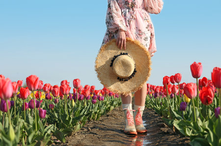 Woman in rubber boots walking across field with beautiful tulips after rain, closeupの写真素材